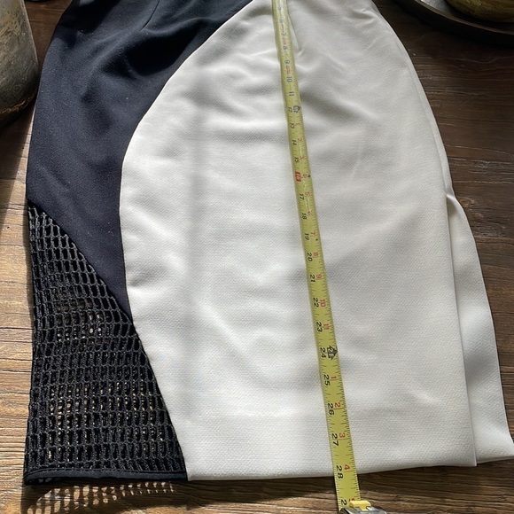 Milly Helix Mesh Skirt - Picture 15 of 15